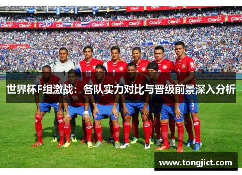 世界杯F组激战：各队实力对比与晋级前景深入分析