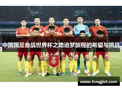 中国国足奋战世界杯之路追梦旅程的希望与挑战