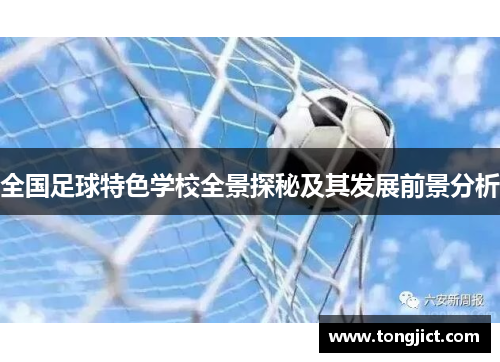 全国足球特色学校全景探秘及其发展前景分析
