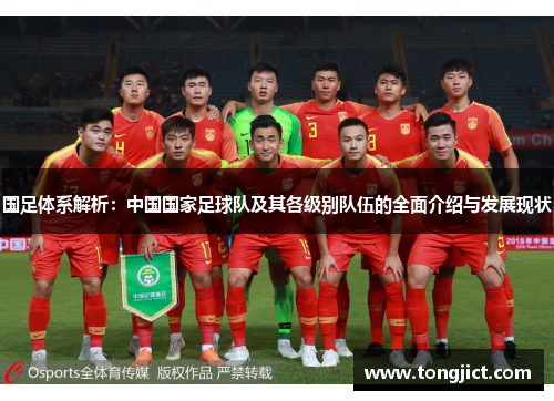 国足体系解析：中国国家足球队及其各级别队伍的全面介绍与发展现状