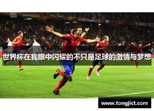 世界杯在我眼中闪耀的不只是足球的激情与梦想
