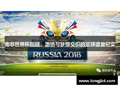 南非世界杯回顾：激情与梦想交织的足球盛宴纪实